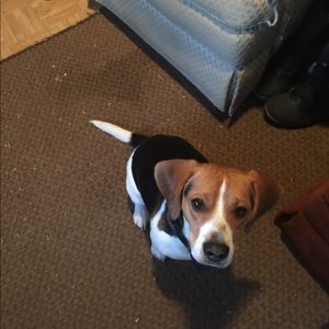 Meet your Posher, Cheryl